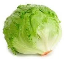 Lechuga Iceberg