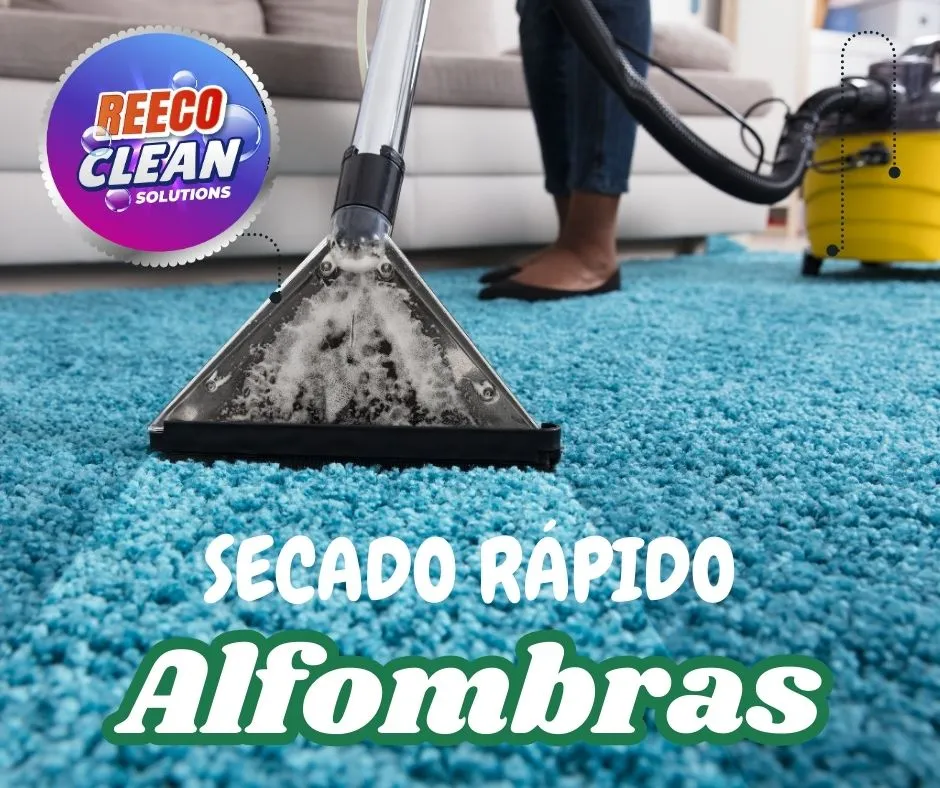 Lavado de Telas y Alfombras x m2