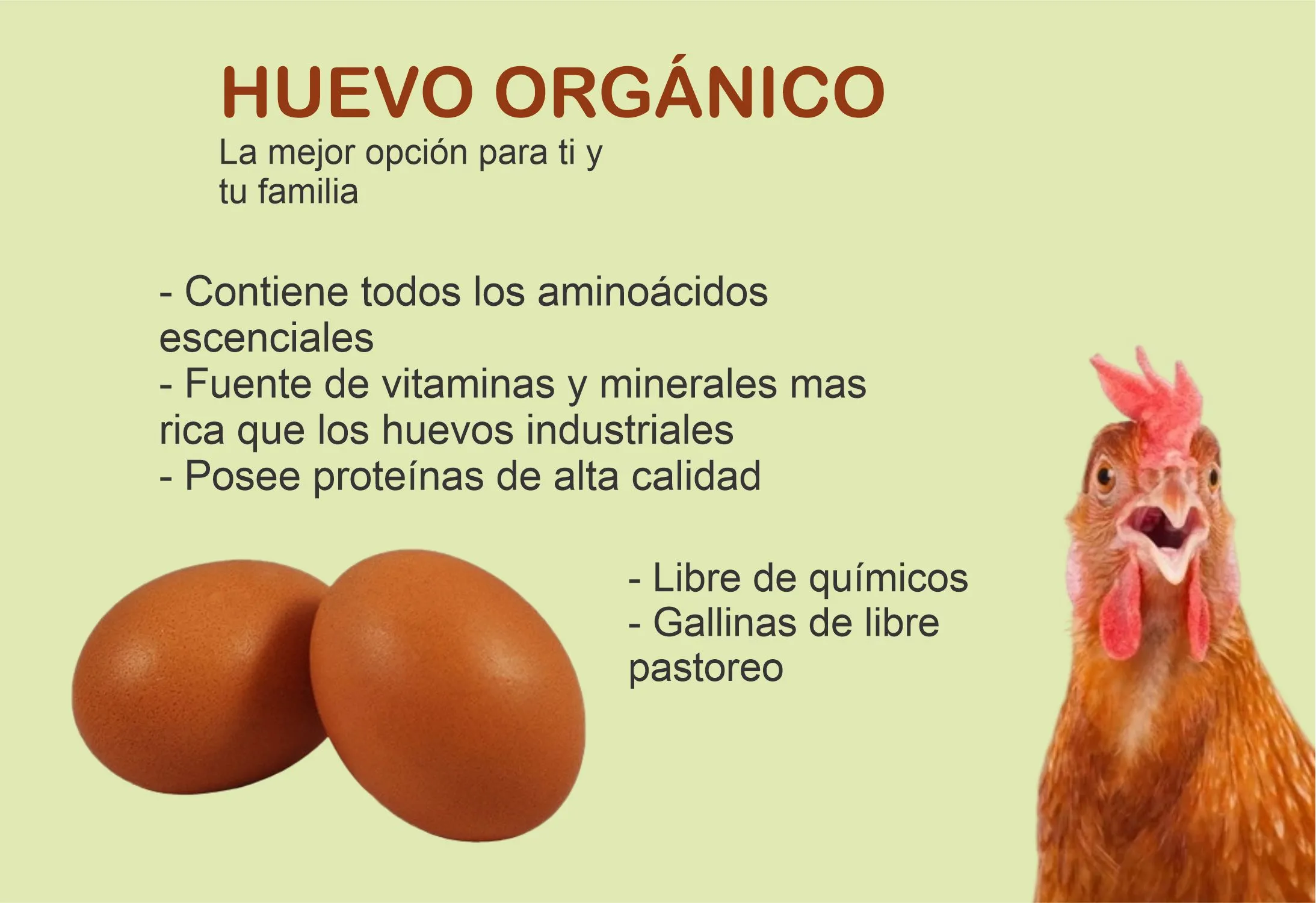 Huevo Orgánico rojo, cartera con 30 piezas