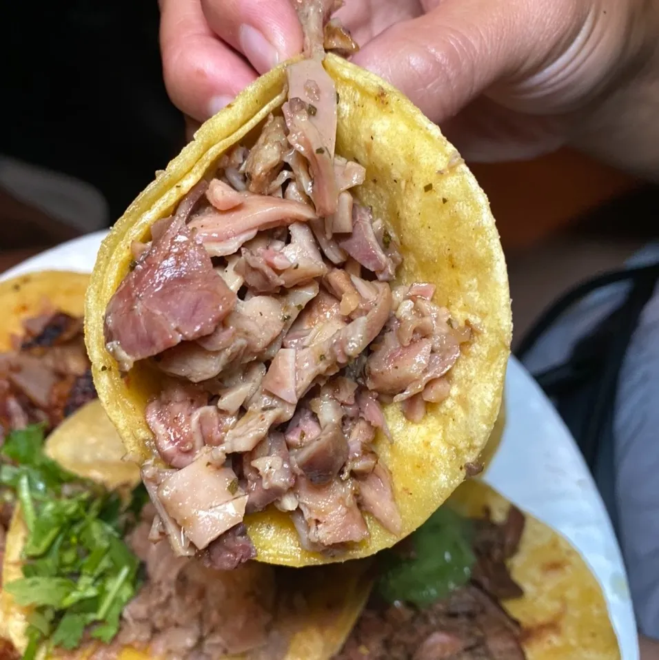 Taco de Buche