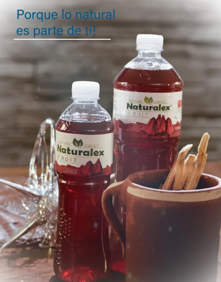 Agua de Jamaica 500 ml