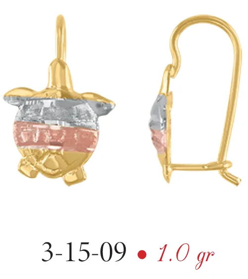 Aretes Modelo 3-15-09