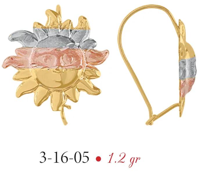 Aretes Modelo 3-16-05