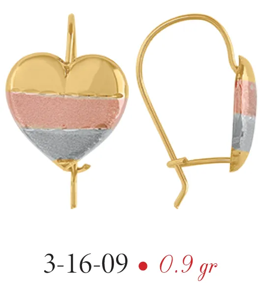 Aretes Modelo 3-16-09